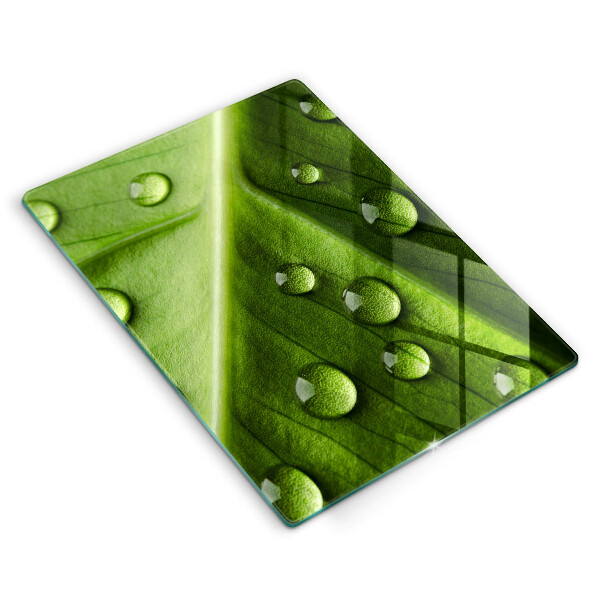 Zaščitna plošča za štedilnik Narava rosa in list