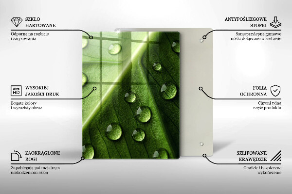 Zaščitna plošča za štedilnik Narava rosa in list