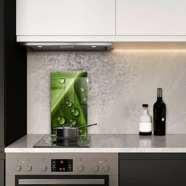 Zaščitna plošča za štedilnik Narava rosa in list