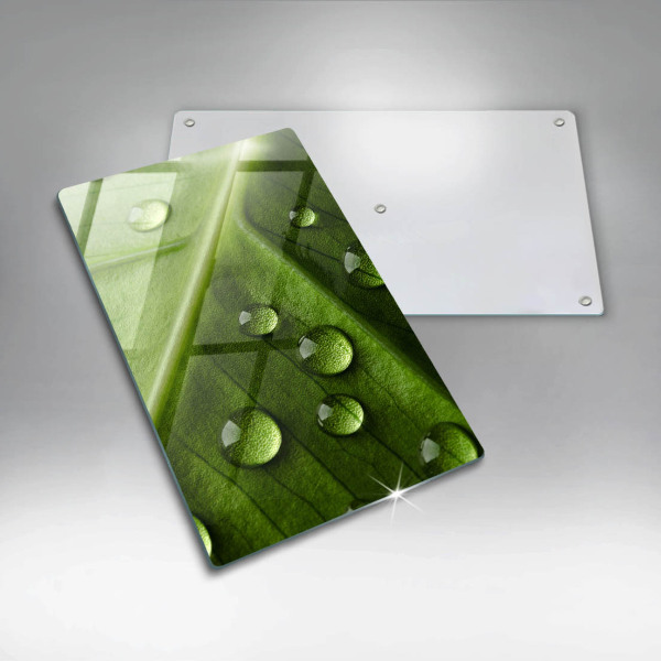 Zaščitna plošča za štedilnik Narava rosa in list