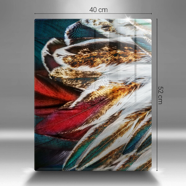 Zaščitna steklena plošča za štedilnik Boho ptičje perje