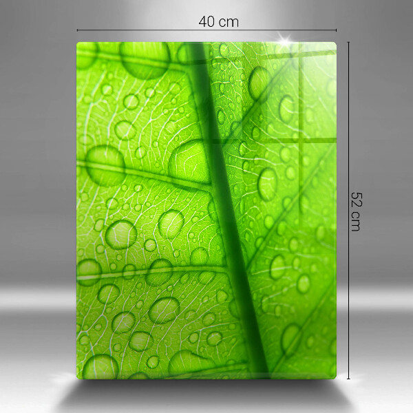 Zaščitna plošča za štedilnik Bližnji posnetek lista