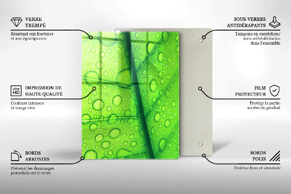 Zaščitna plošča za štedilnik Bližnji posnetek lista