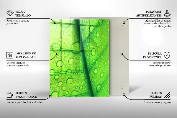 Zaščitna plošča za štedilnik Bližnji posnetek lista