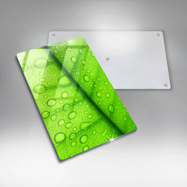 Zaščitna plošča za štedilnik Bližnji posnetek lista