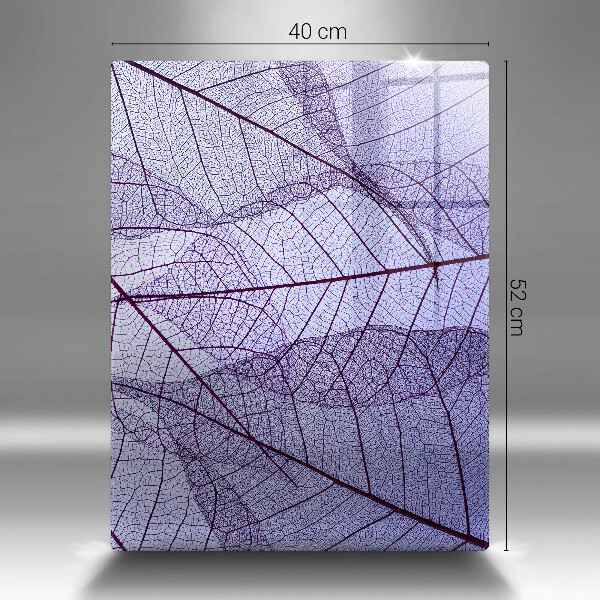 Zaščitna steklena plošča za štedilnik Listi z žilami