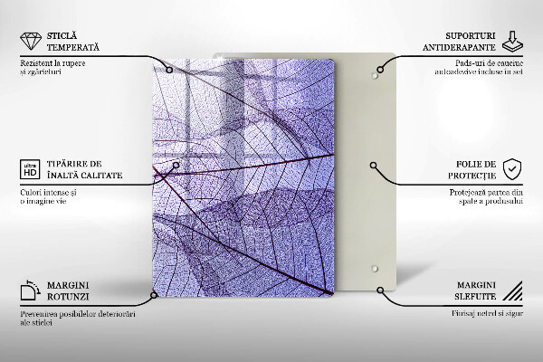 Zaščitna steklena plošča za štedilnik Listi z žilami