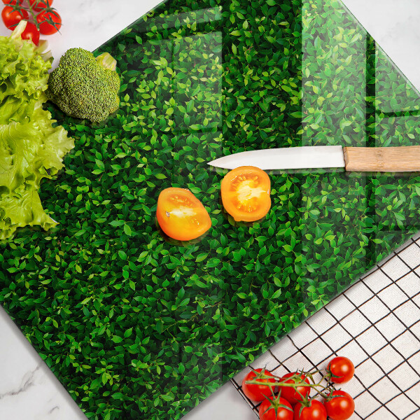 Zaščitna plošča za štedilnik Rastlina z majhnimi listi