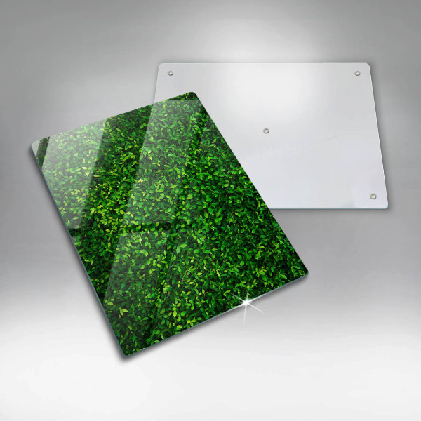 Zaščitna plošča za štedilnik Rastlina z majhnimi listi