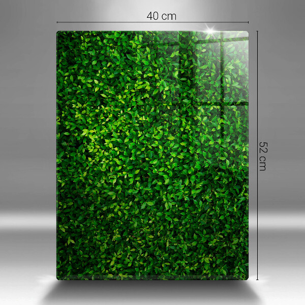 Zaščitna plošča za štedilnik Rastlina z majhnimi listi