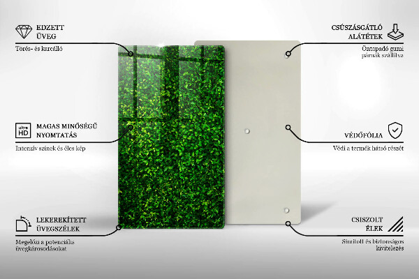 Zaščitna plošča za štedilnik Rastlina z majhnimi listi