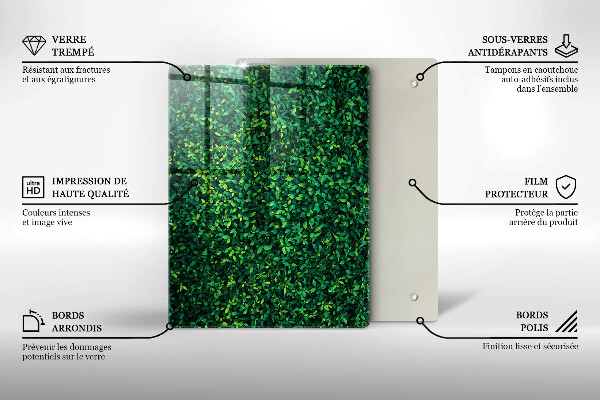 Zaščitna plošča za štedilnik Rastlina z majhnimi listi