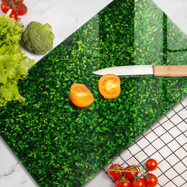 Zaščitna plošča za štedilnik Rastlina z majhnimi listi