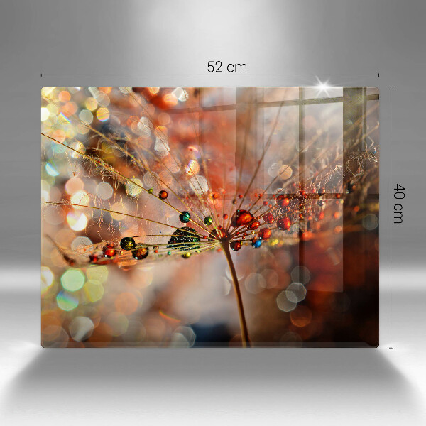 Zaščitna plošča za štedilnik Moker regrat