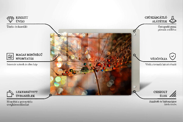 Zaščitna plošča za štedilnik Moker regrat