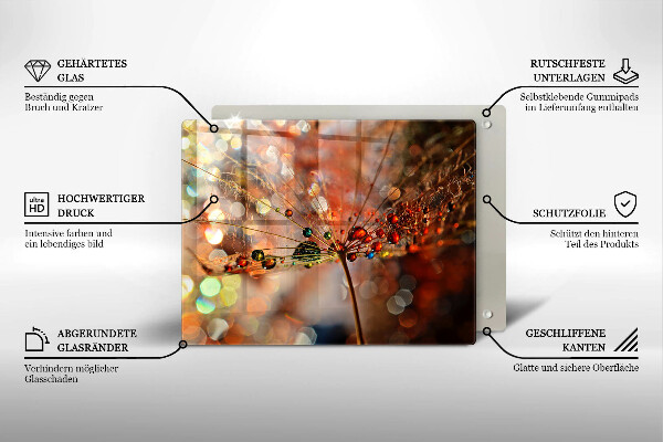 Zaščitna plošča za štedilnik Moker regrat