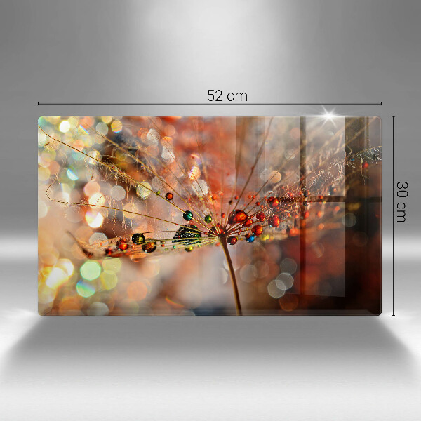 Zaščitna plošča za štedilnik Moker regrat