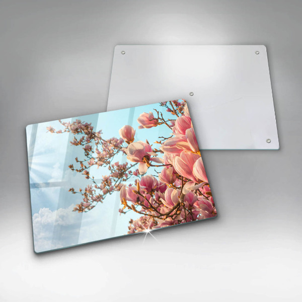 Zaščitna plošča za štedilnik Drevo rožnatih cvetov
