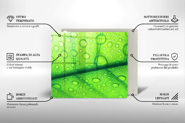 Zaščitna plošča za štedilnik Bližnji posnetek lista