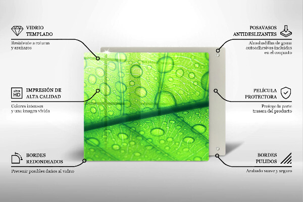 Zaščitna plošča za štedilnik Bližnji posnetek lista
