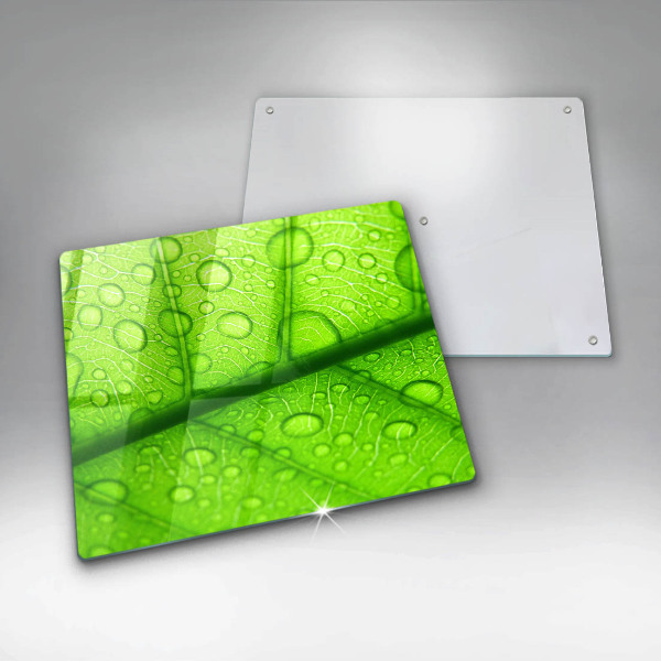 Zaščitna plošča za štedilnik Bližnji posnetek lista