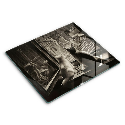 Zaščitna plošča za štedilnik Mačje mesto in okno