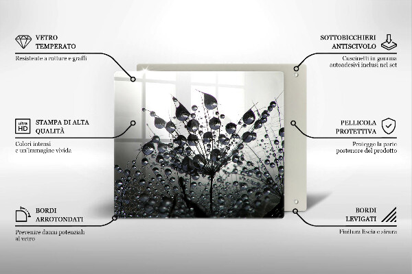 Zaščitna plošča za štedilnik Regrat in rosa