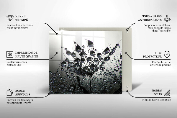 Zaščitna plošča za štedilnik Regrat in rosa