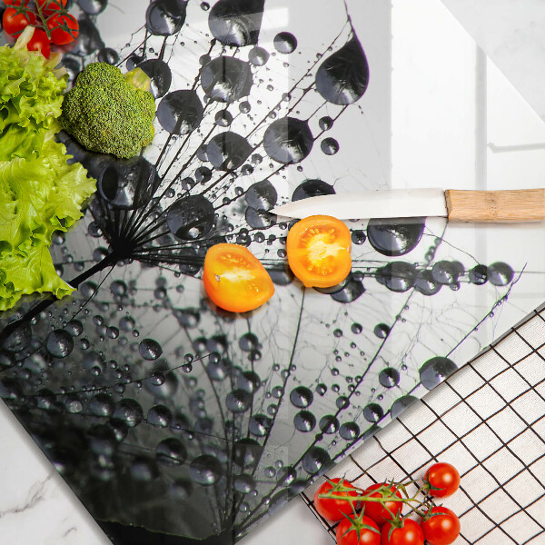 Zaščitna plošča za štedilnik Regrat in rosa