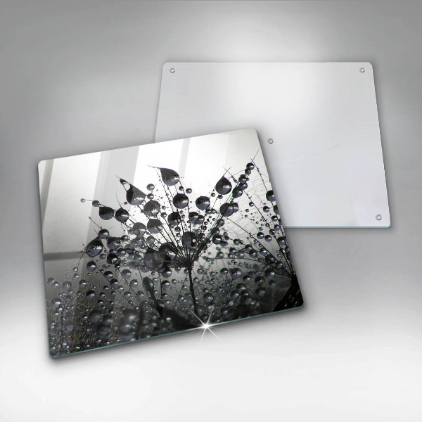 Zaščitna plošča za štedilnik Regrat in rosa