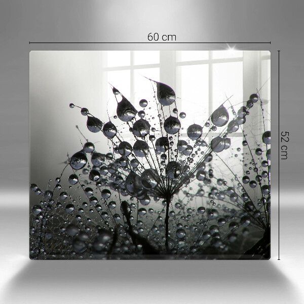 Zaščitna plošča za štedilnik Regrat in rosa