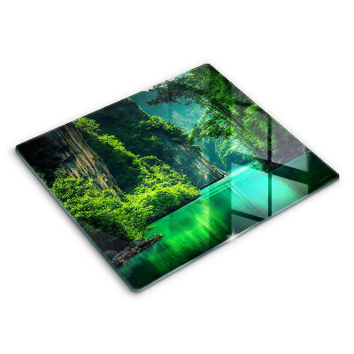 Zaščitna plošča za štedilnik Lagunska pokrajina