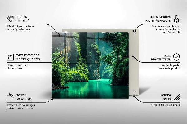 Zaščitna plošča za štedilnik Lagunska pokrajina