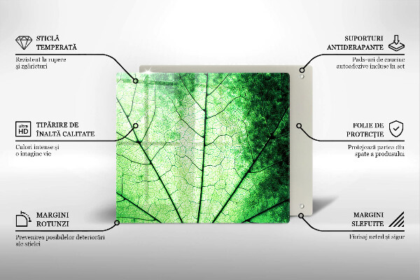 Zaščitna plošča za štedilnik Okrasni žilni list