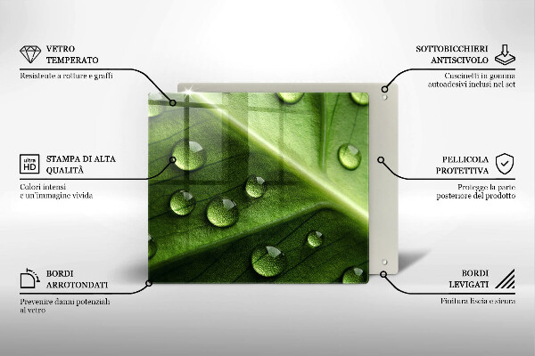 Zaščitna plošča za štedilnik Narava rosa in list