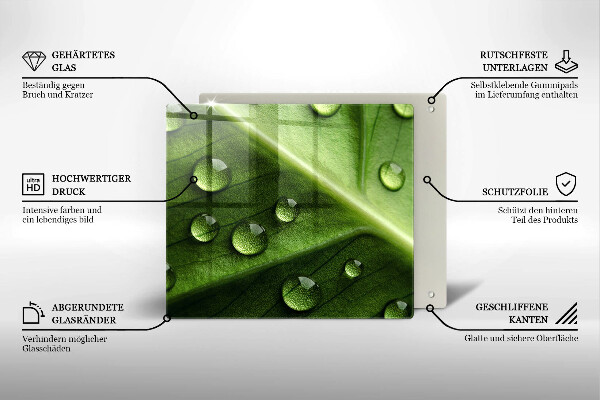 Zaščitna plošča za štedilnik Narava rosa in list