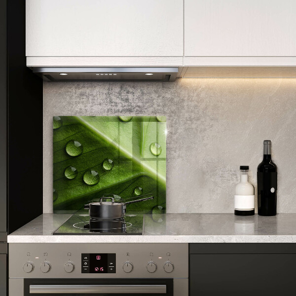 Zaščitna plošča za štedilnik Narava rosa in list