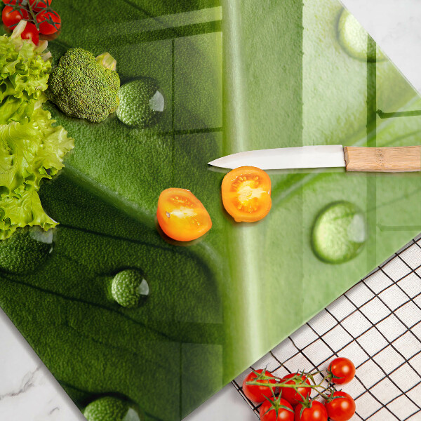 Zaščitna plošča za štedilnik Narava rosa in list