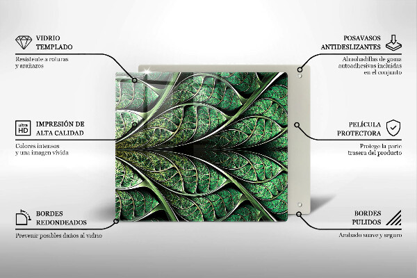 Zaščitna plošča za štedilnik Zgradba listnih žil