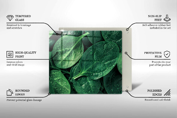 Zaščitna plošča za štedilnik Listi bazilike