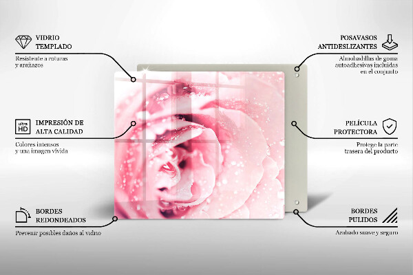 Zaščitna plošča za štedilnik Rosne kapljice in cvet vrtnice