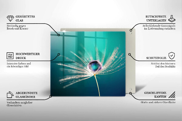 Stenska zaščitna plošča za štedilnik Rosa na regratu