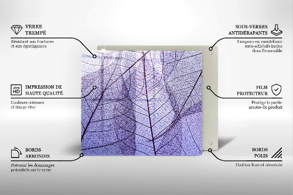 Zaščitna plošča za štedilnik Listi z žilami