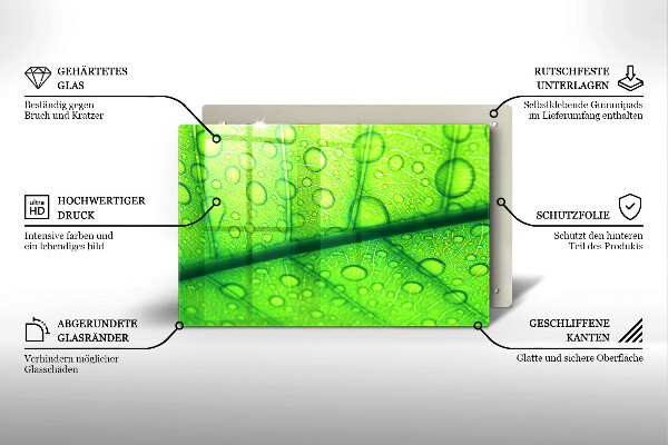 Zaščitna plošča za štedilnik Bližnji posnetek lista