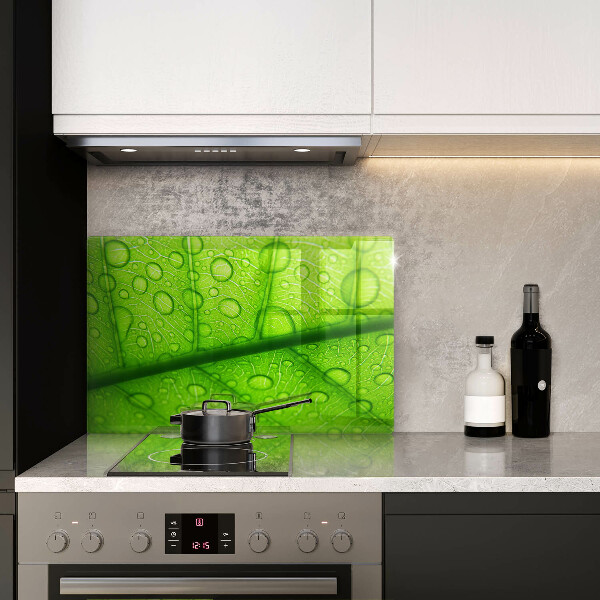 Zaščitna plošča za štedilnik Bližnji posnetek lista