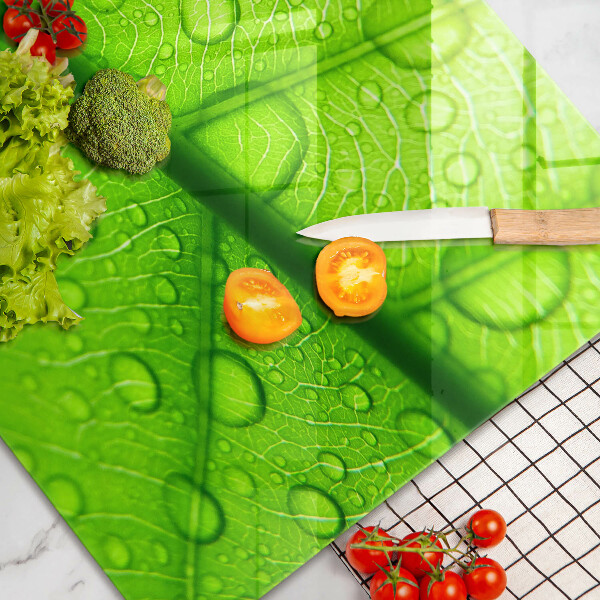 Zaščitna plošča za štedilnik Bližnji posnetek lista