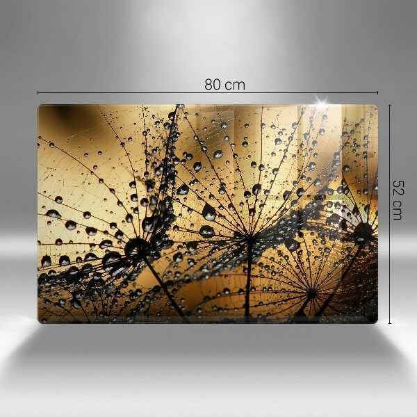 Zaščitna plošča za štedilnik Rosa in regrat