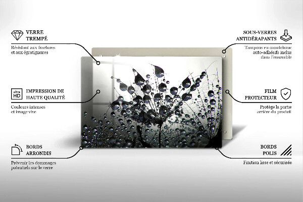 Zaščitna plošča za štedilnik Regrat in rosa