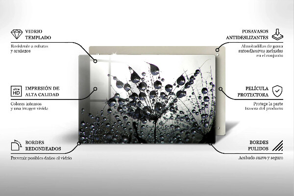 Zaščitna plošča za štedilnik Regrat in rosa