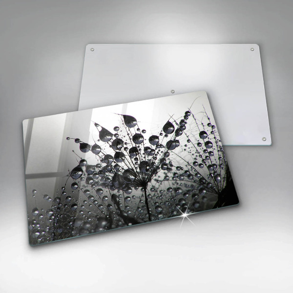 Zaščitna plošča za štedilnik Regrat in rosa